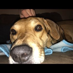 Meet your Posher, Patty