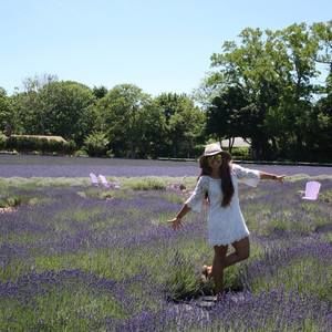 Meet your Posher, Lisandra