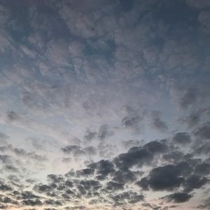 Meet your Posher, Presley