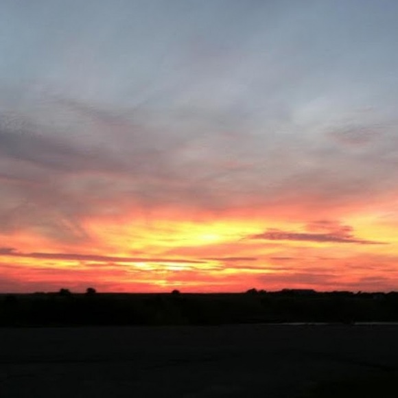 Meet your Posher, Shelby