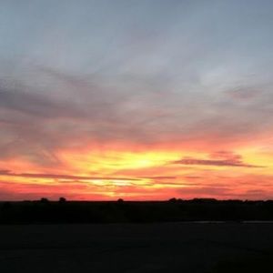 Meet your Posher, Shelby