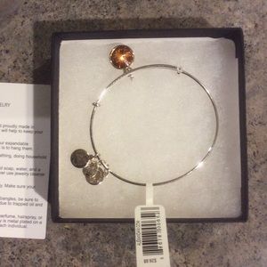 Alex and Ani November bracelet