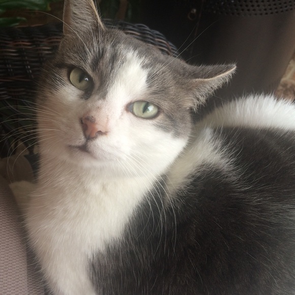 Meet your Posher, Janet - Picture 1 of 1