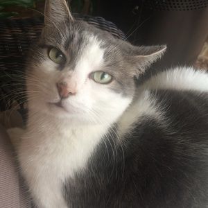 Meet your Posher, Janet