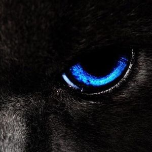 Meet your Posher, Jayson