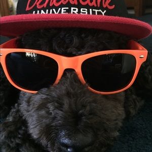 Meet your Posher, Kylee