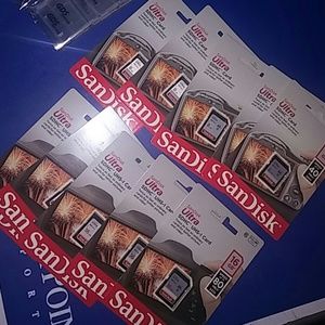 New SanDisk SDHC cards 8gb 16gb with cases