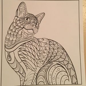 Meet your Posher, Callie