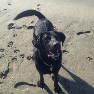 Meet your Posher, Holly