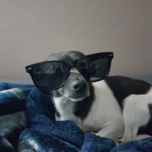 Meet your Posher, Chelsea