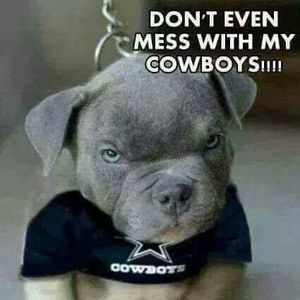 Meet your Posher, Eva