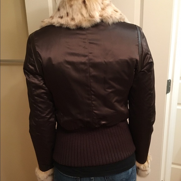 Jacket - Picture 2 of 4
