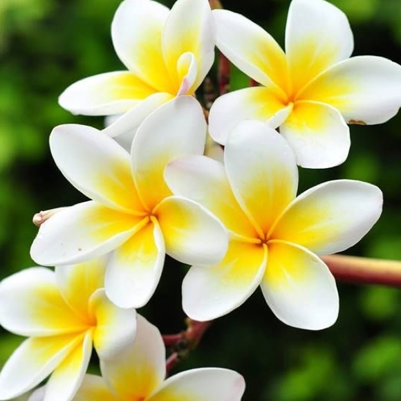 Meet your Posher, Em