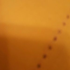 Meet your Posher, Katelyn