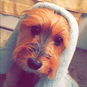 Meet your Posher, Veronica