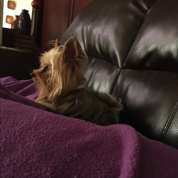 Meet your Posher, Tonya