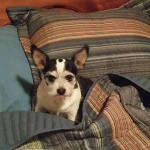 Meet your Posher, Cynthia