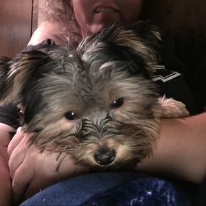 Meet your Posher, Tracy