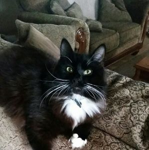 Meet your Posher, Donna