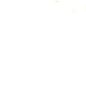 Meet your Posher, Lama