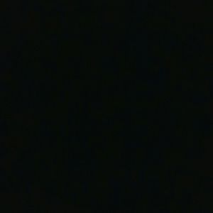 Meet your Posher, Bernard