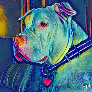 Meet your Posher, Cory