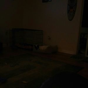 Meet your Posher, Patty