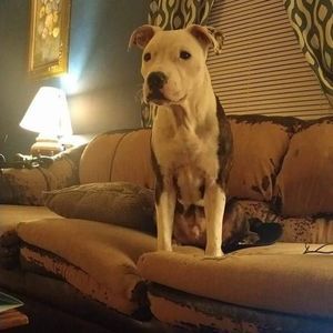 Meet your Posher, Tamra