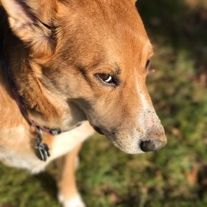 Meet your Posher, Sienna