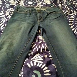 Eddie Bauer Sz 12L Slightly Curvy Boot cut Jeans
