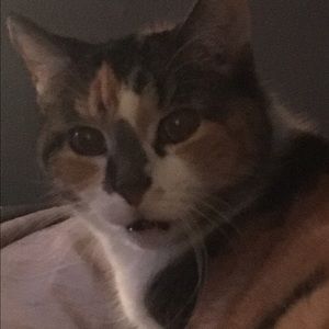 Meet your Posher, Trish