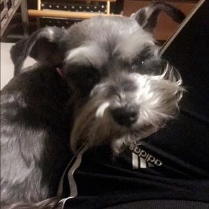 Meet your Posher, Cristina