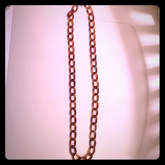 Tortoise brown Jcrew long necklace