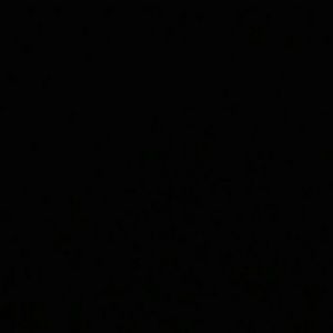 Meet your Posher, Darius