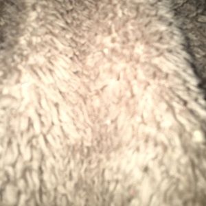 Meet your Posher, Mandy