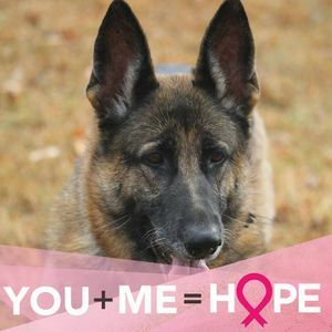 Meet your Posher, Mindy