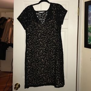LOFT lace overlay dress NWT