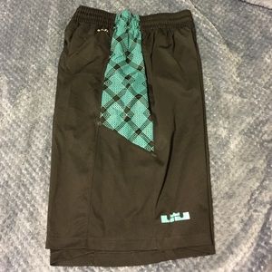 Nike dry fit Lebron basketball shorts