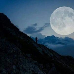 Meet your Posher, Carla