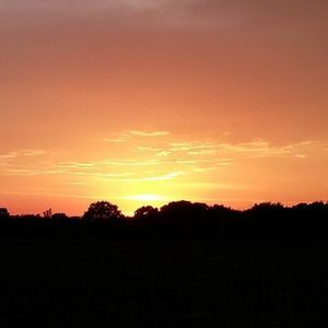 Meet your Posher, Terry