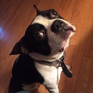 Meet your Posher, Vinnie