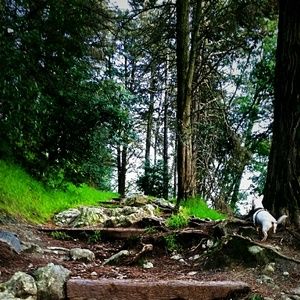 Meet your Posher, Cynthia