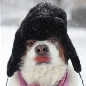 Meet your Posher, Anastasia