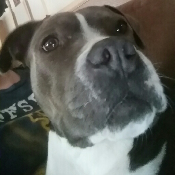 Meet your Posher, Laura - Picture 1 of 1