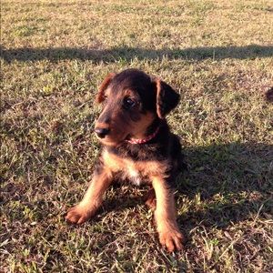 Meet your Posher, Sherry