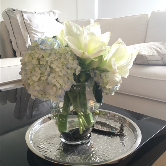 Meet your Posher, Elise - Picture 2 of 2