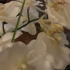 Meet your Posher, Edina