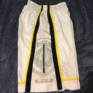 Limited edition Nike Lebron shorts