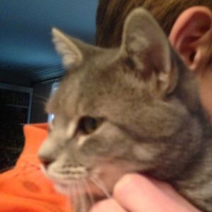 Meet your Posher, Martha