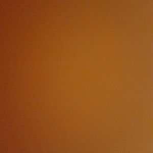 Meet your Posher, Misty